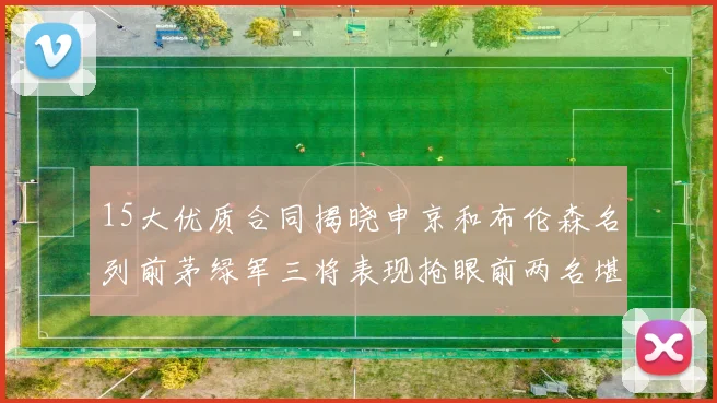15大优质合同揭晓申京和布伦森名列前茅绿军三将表现抢眼前两名堪称传奇
